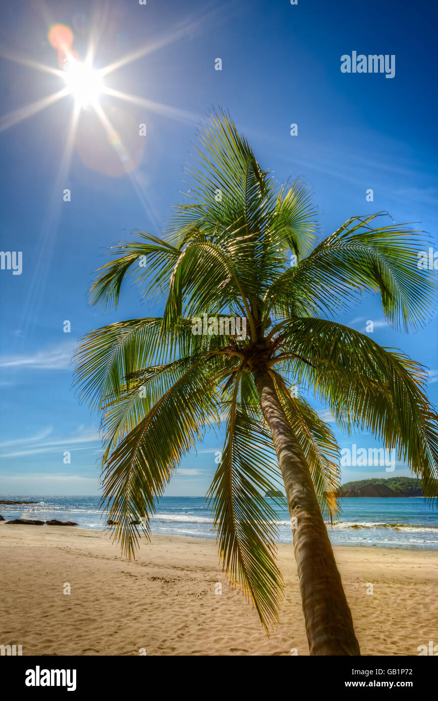 Glowing sun and a palm tree on the Carrillo beach, Guanacaste, Costa Rica Stock Photo