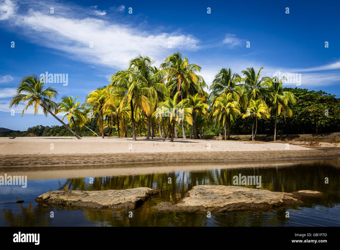 Palm trees and their reflecions in the water on the Carrillo beach, Guanacaste, Costa Rica Stock Photo