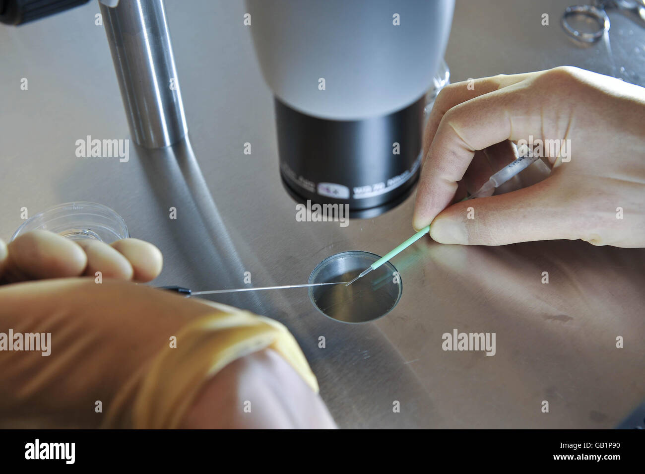 First IVF baby born with new embryo technique Stock Photo Alamy
