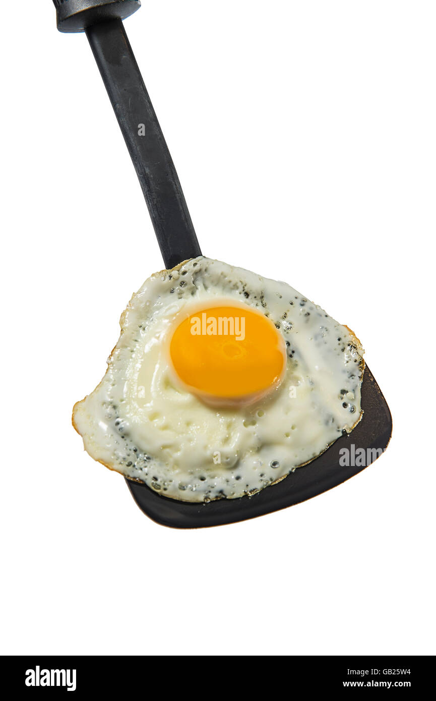 Sunny Side Up Fried Egg On Spatula Stock Photo