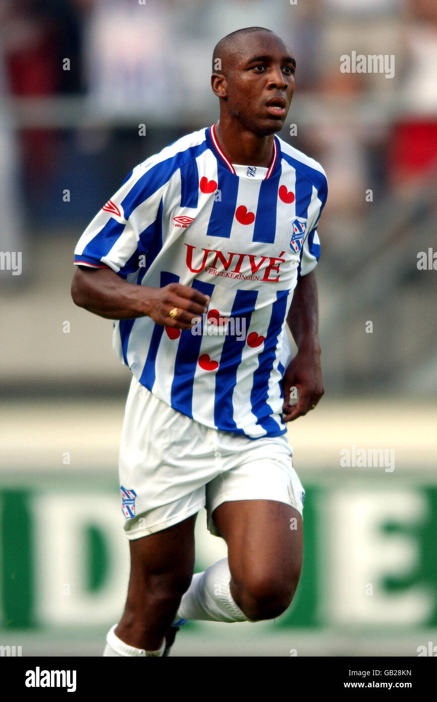 Denneboom romano hires stock photography and images Alamy