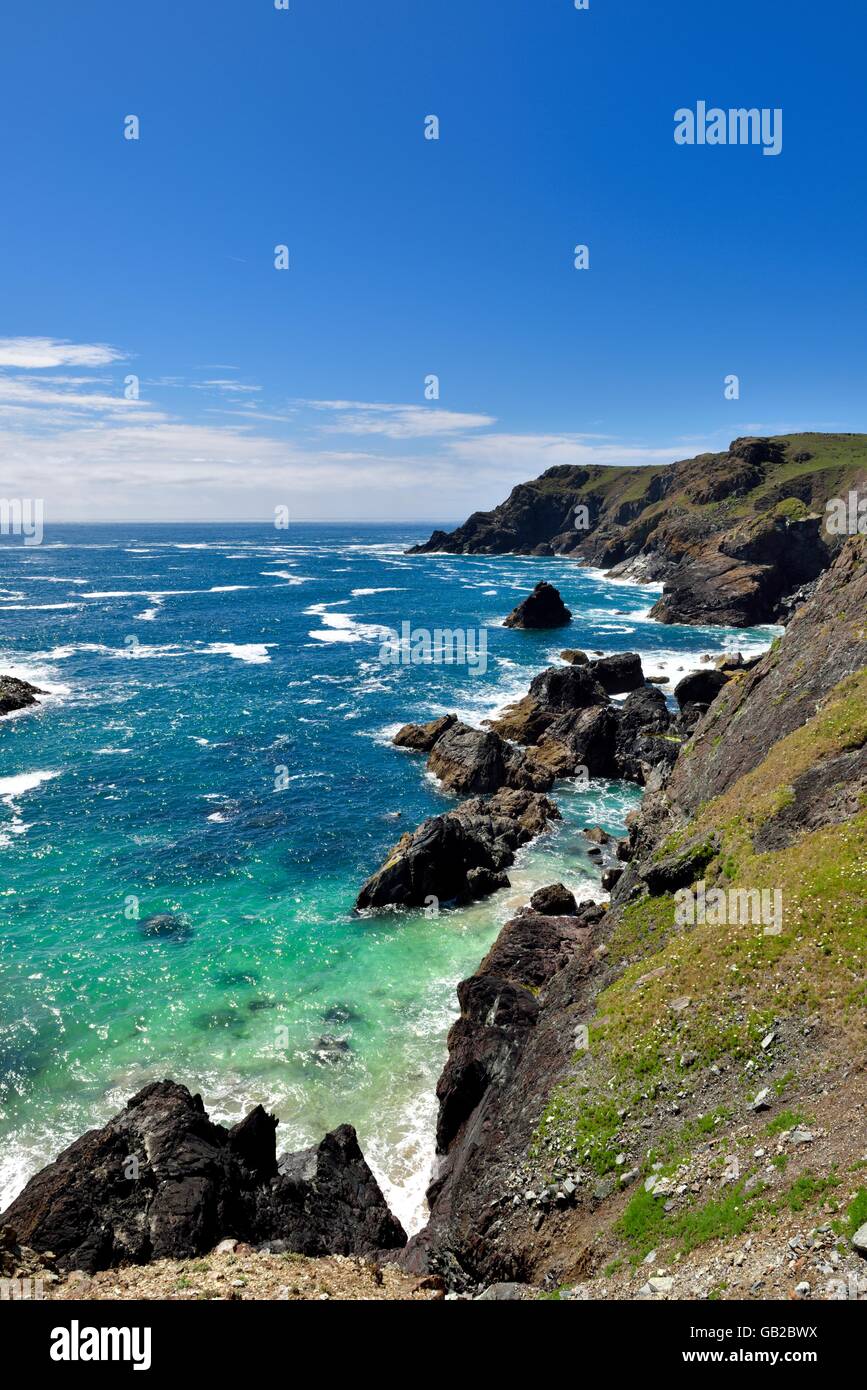 The Cornish coastline near Kynance cove on the Lizard peninsular