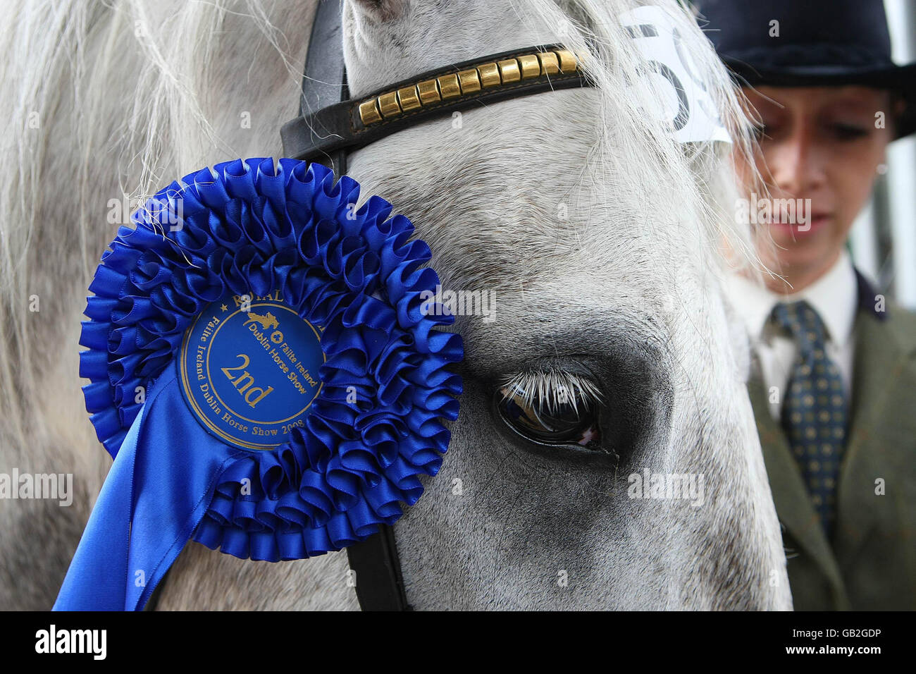 Failte Ireland Dublin Horse Show Stock Photo