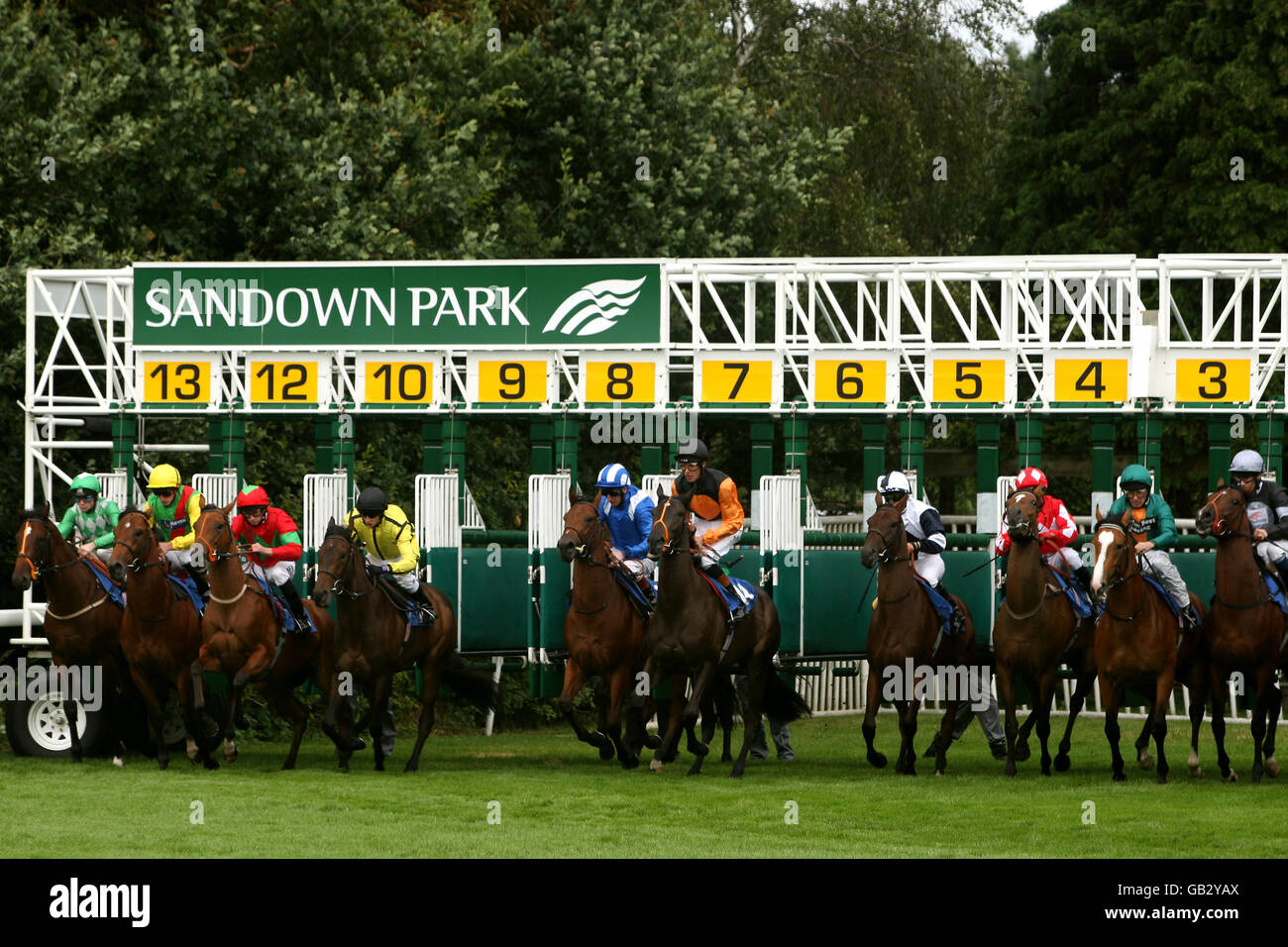A general view of the start of the M J Milward Printing Maiden Stakes at Sandown Park Stock Photo