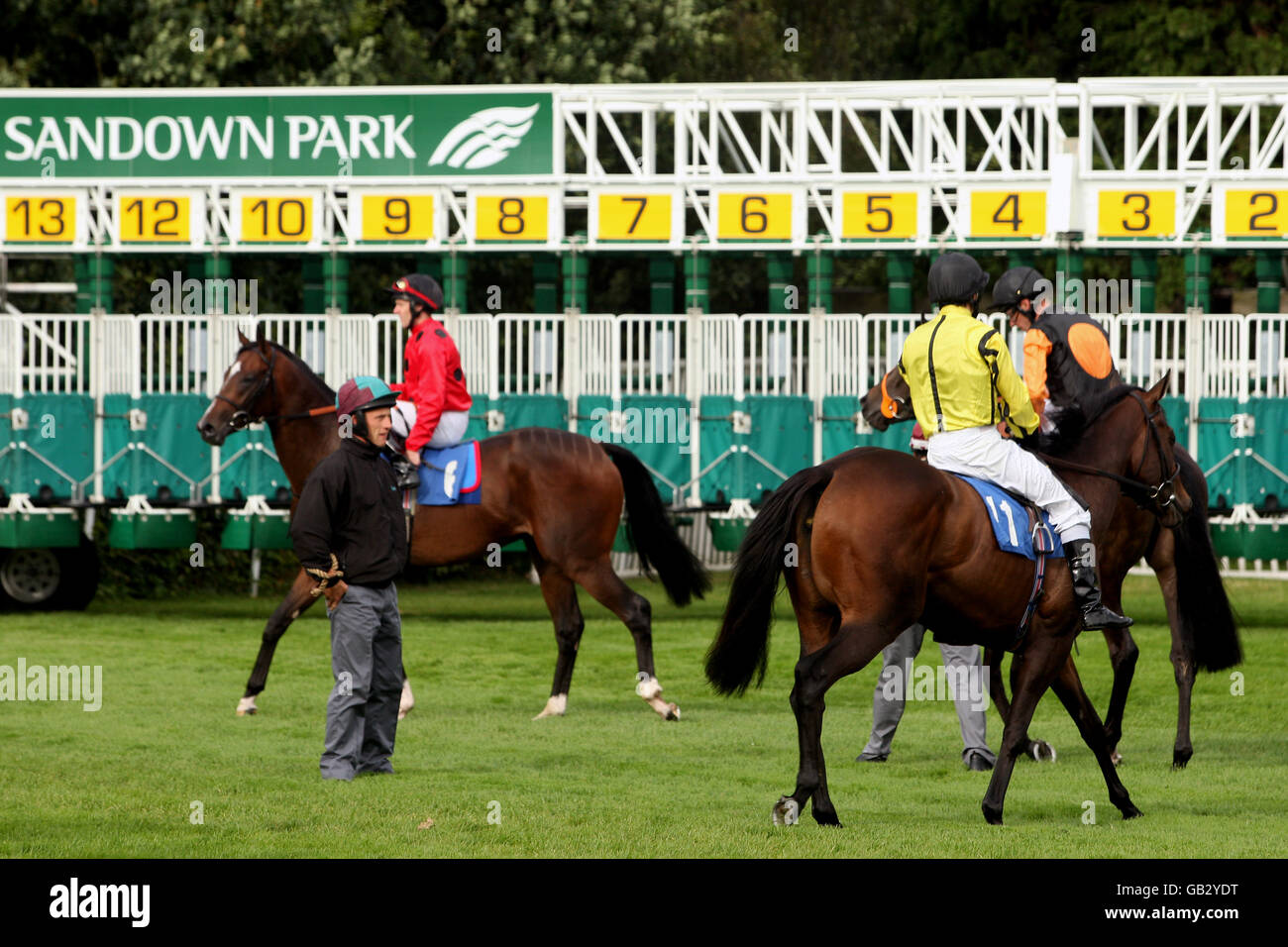A general view prior to the M J Milward Printing Maiden Stakes at Sandown Park Stock Photo
