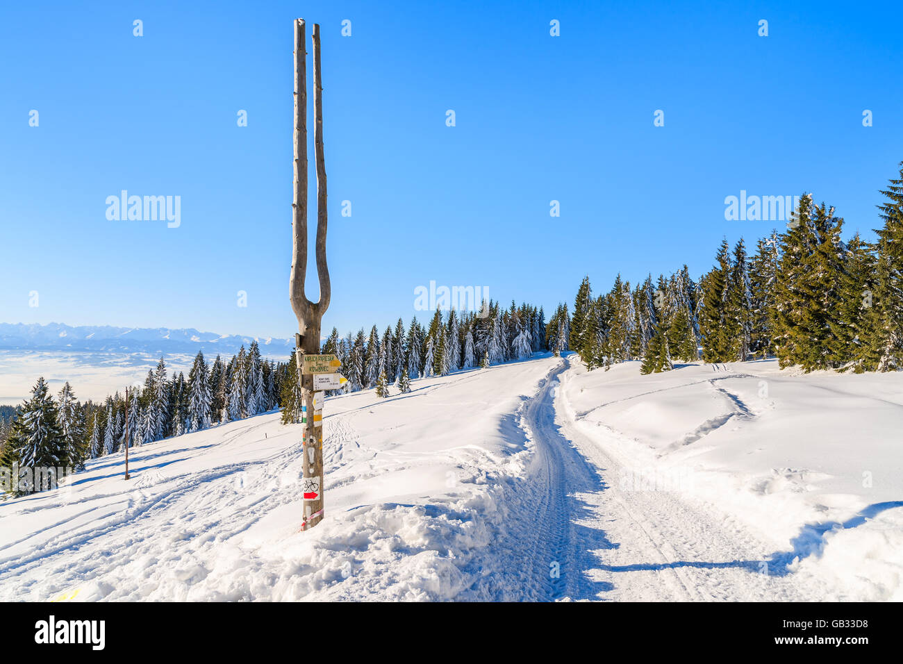 Winter trail in Gorce Mountains after fresh snowfall, Poland Stock Photo