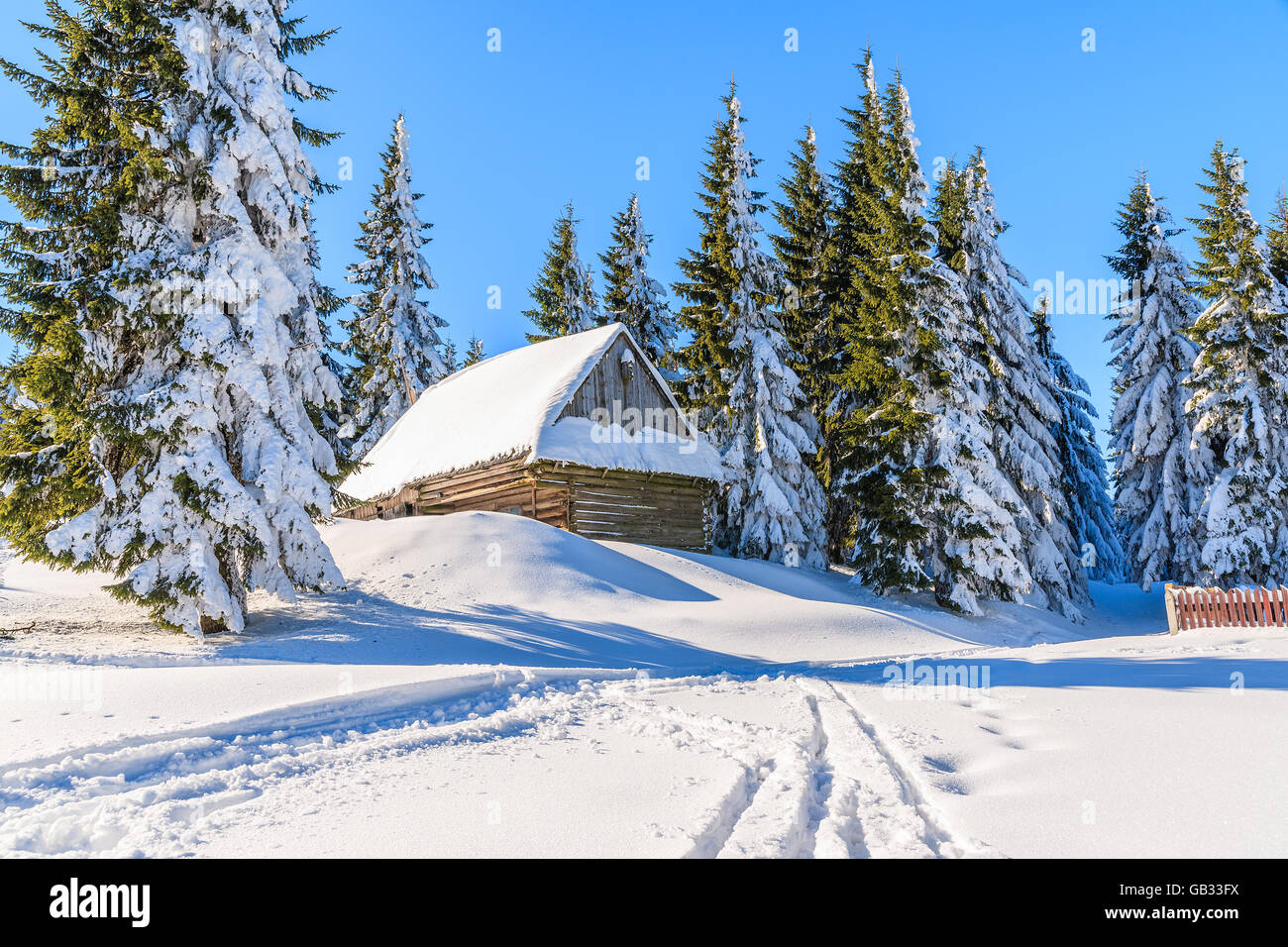 Wooden hut in the forest hi-res stock photography and images - Alamy