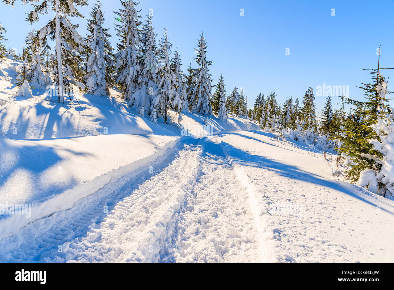 Winter trail after fresh snowfall in Gorce Mountains, Poland Stock Photo