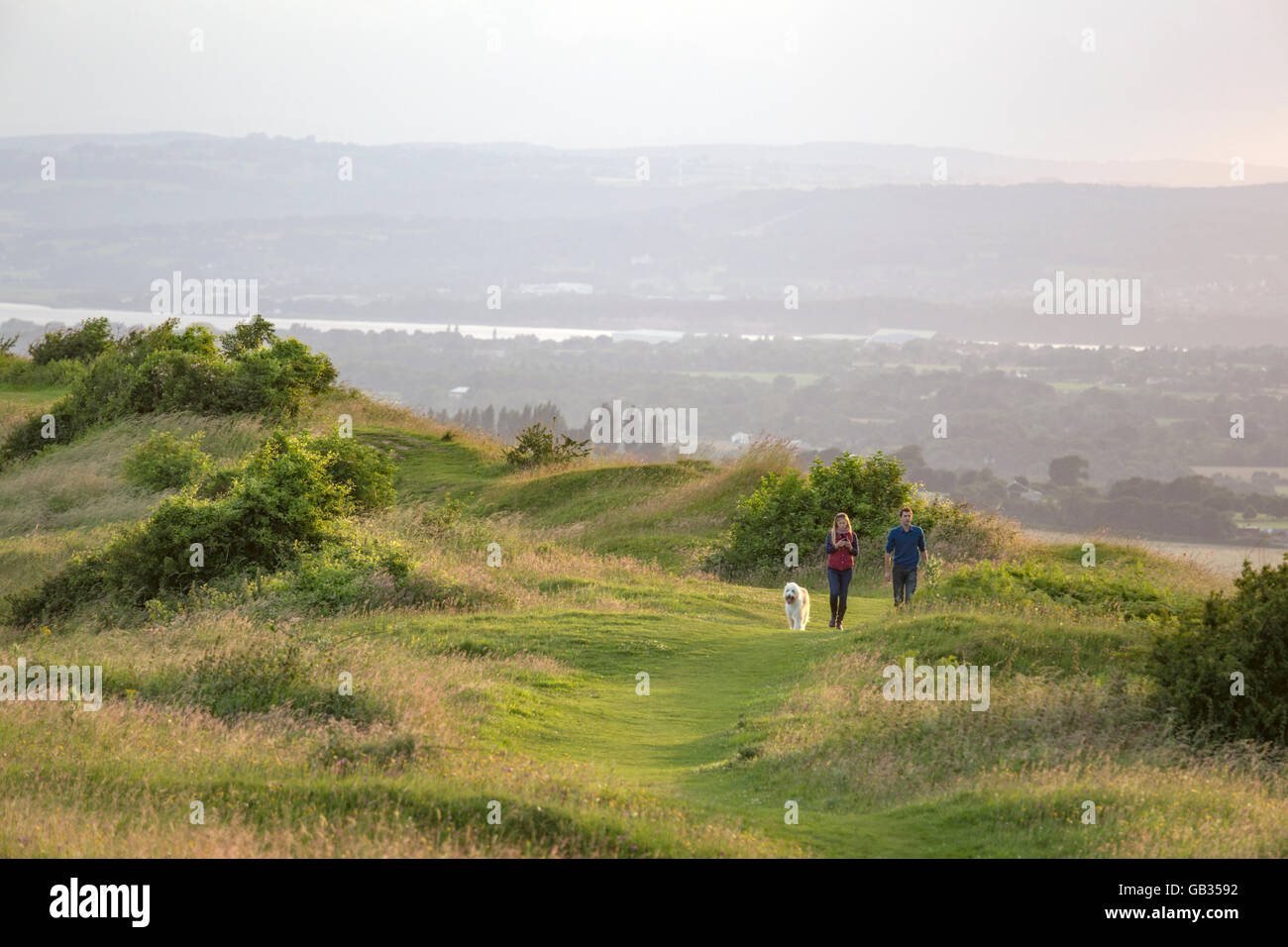 Walking the dog on the Cotswold Way, Cam Long Down, Gloucestershire