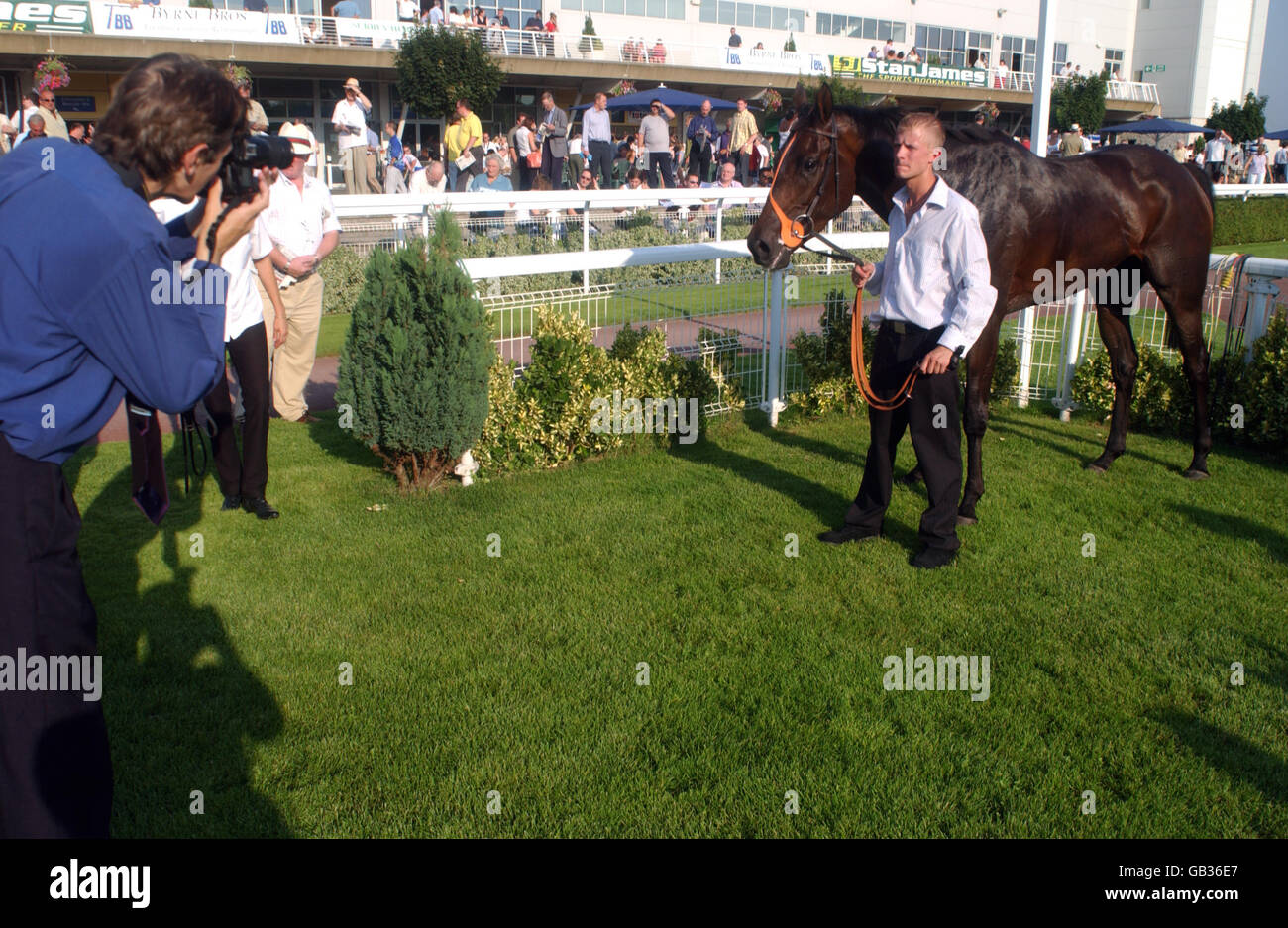 Genral view winners enclosure hires stock