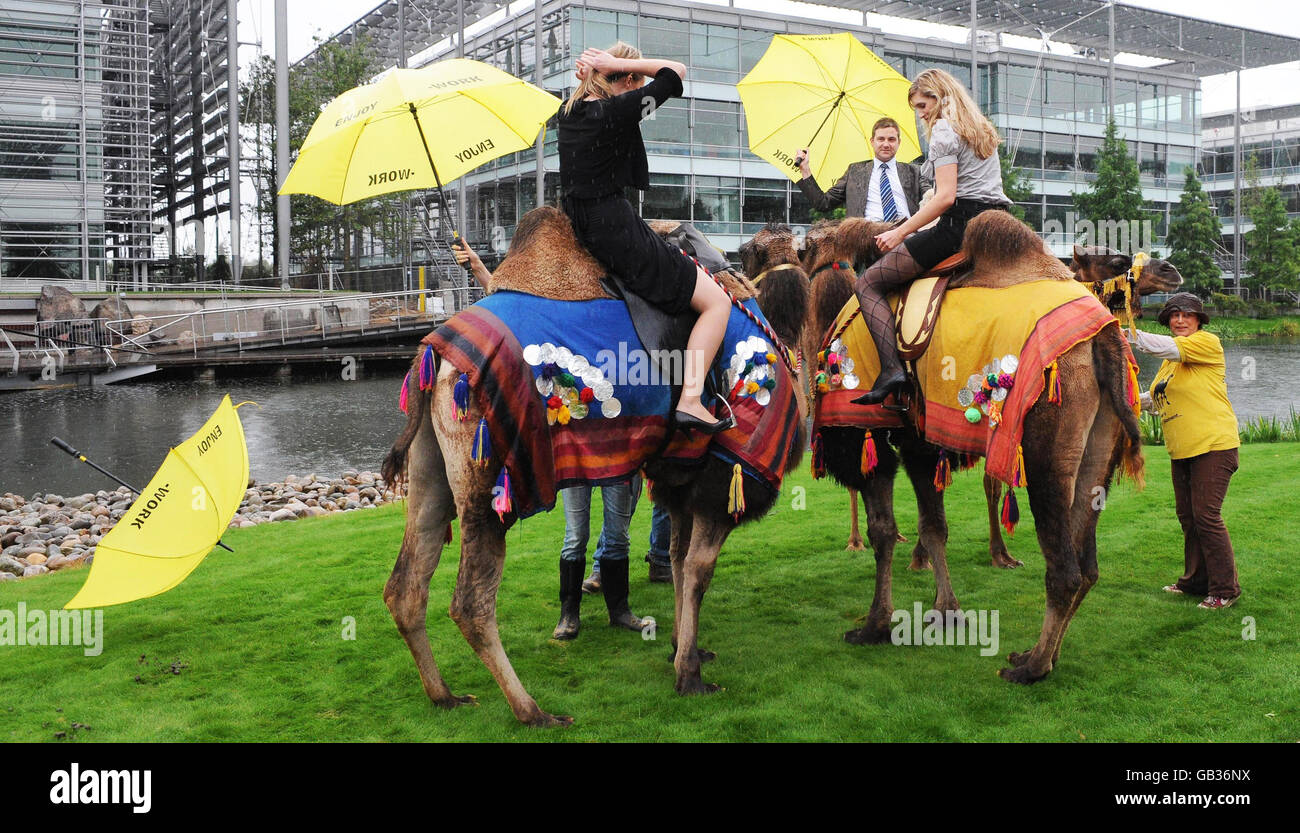 Office workers enjoy a camel ride, today, as part of the Chiswick Park 'Enjoy Work' programme which aims to provide workers at the West London business park with activities aiding a healthy work-life balance. Stock Photo