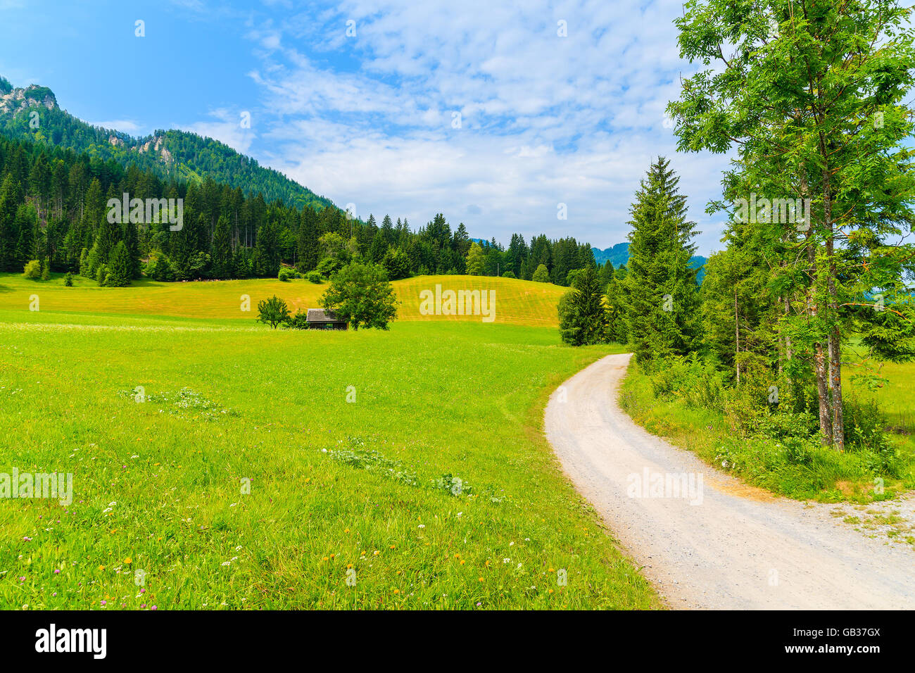 Road in countryside summer landscape of Alps Mountains, Weissensee lake, Austria Stock Photo