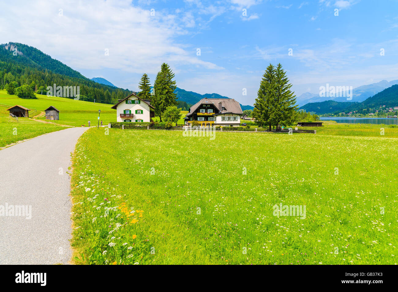 Road along green meadow with typical alpine houses in distance in summer landscape of Weissensee lake, Austria Stock Photo