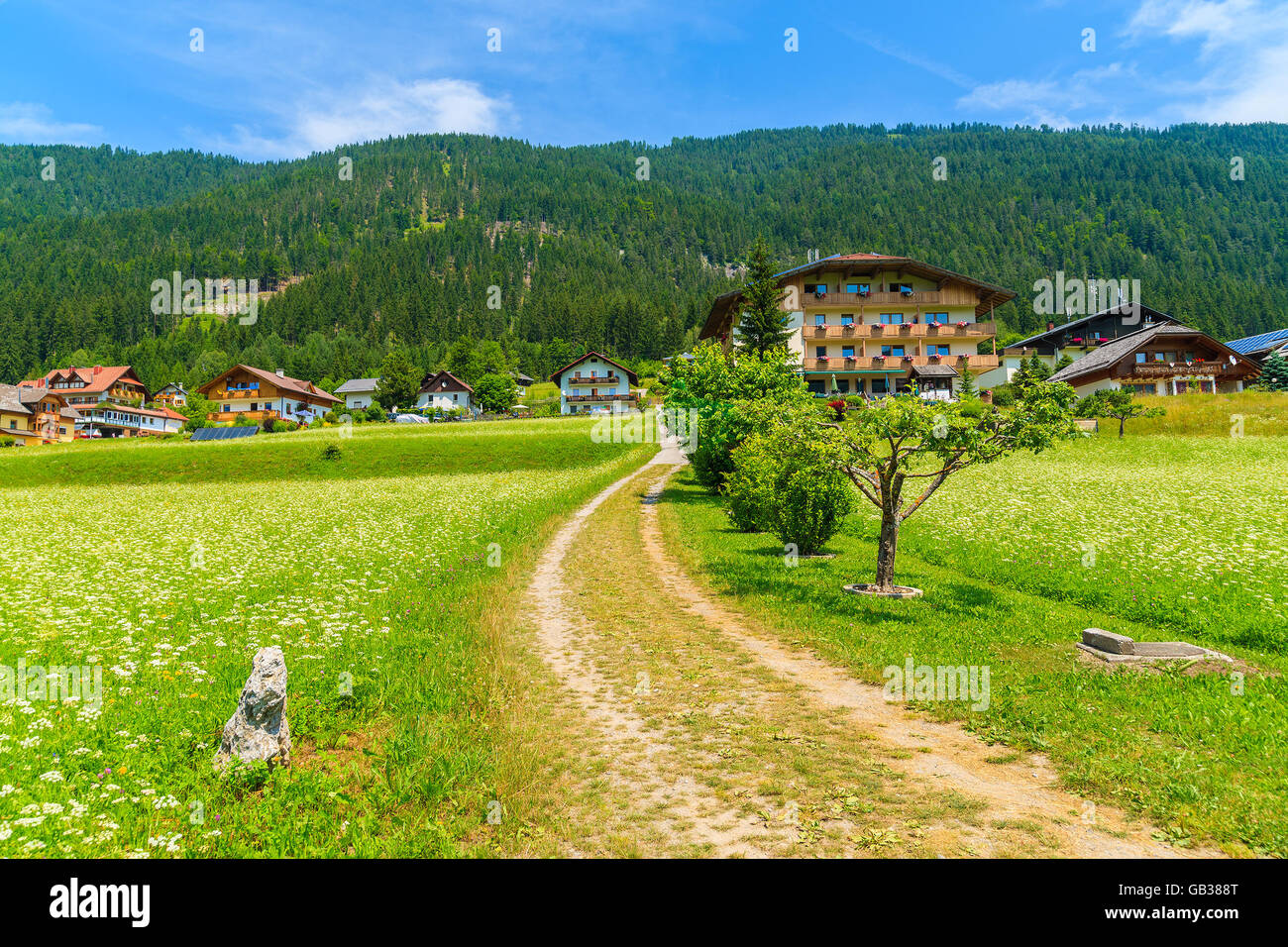 Rural road on green meadow with flowers with traditional countryside houses in background, Weissensee lake, Alps Mountains, Aust Stock Photo