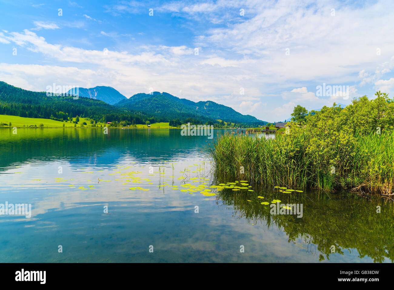 Grass on shore of Idyllic Weissensee lake in summer landscape, Carinthia land, Austria Stock Photo