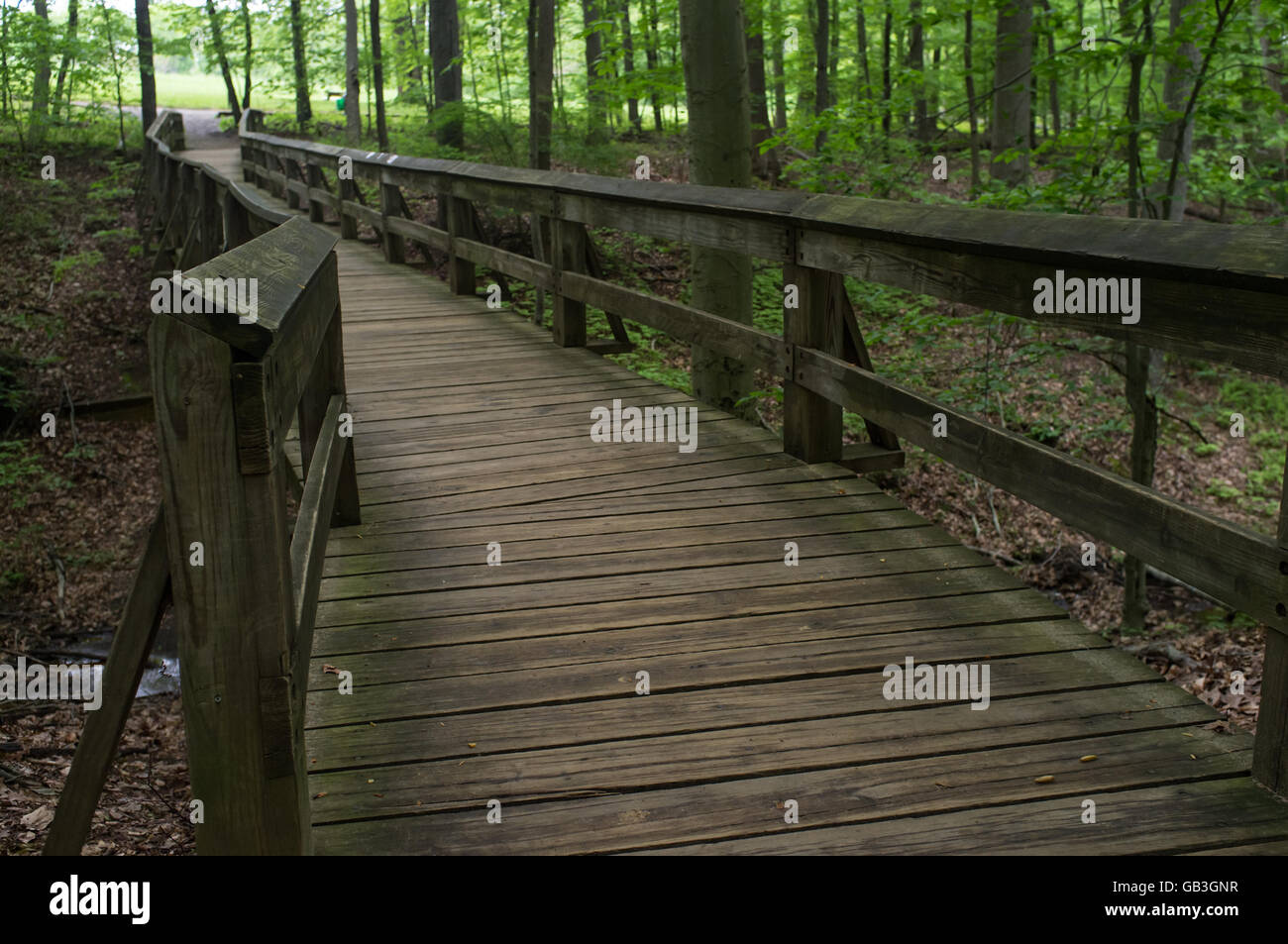 Summer wooden bridge path through forest wilderness Stock Photo - Alamy