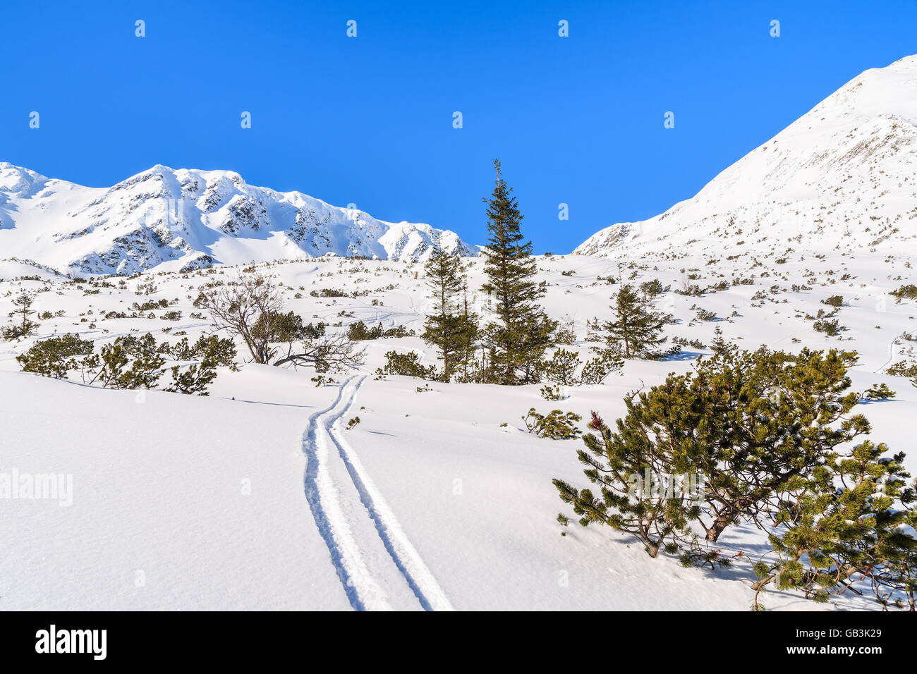 Ski track in fresh snow in winter landscape of Rohace valley, Tatra Mountains, Slovakia Stock Photo