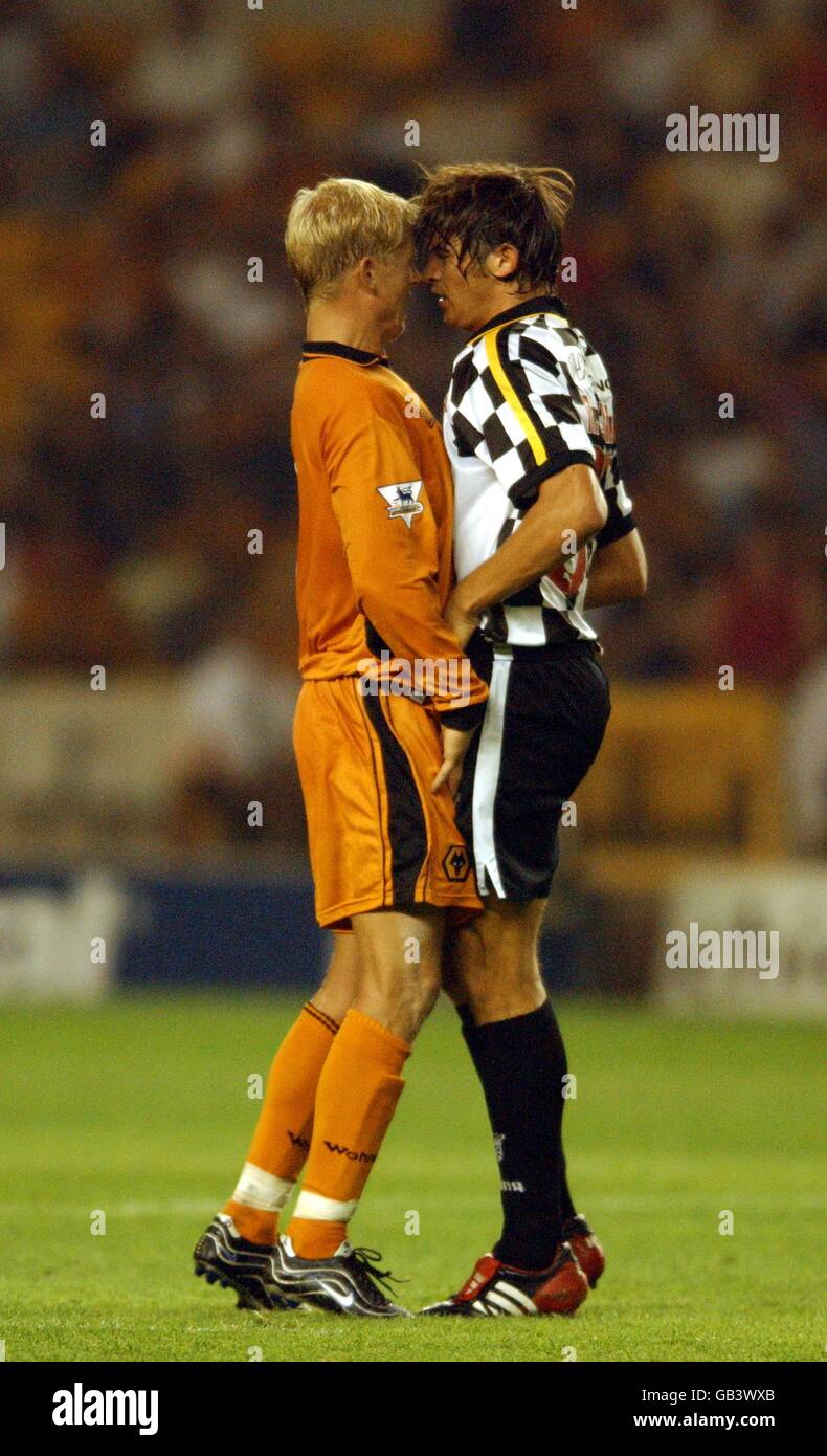 Wolverhampton Wanderers' Steffen Iversen runs into trouble during the