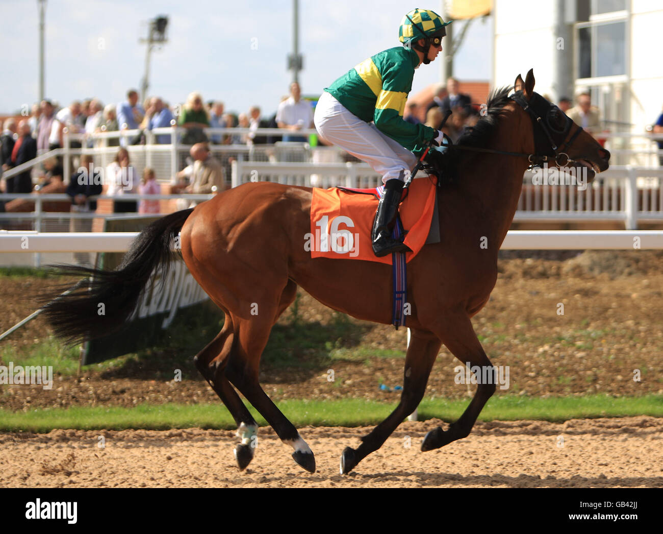 Jockey Travis Block on Mount Hermon goes to post in the Wickham Bishops Handicap at Great Leighs Racecourse Stock Photo