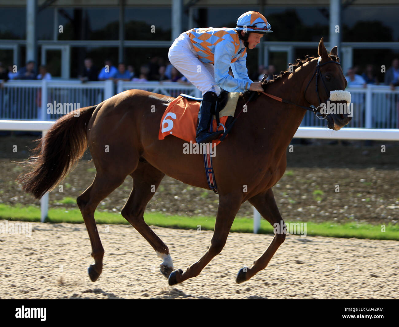 Jockey David Probert on Vanderlin goes to post in the Marks Hall Conditions Stakes at Great Leighs Racecourse Stock Photo