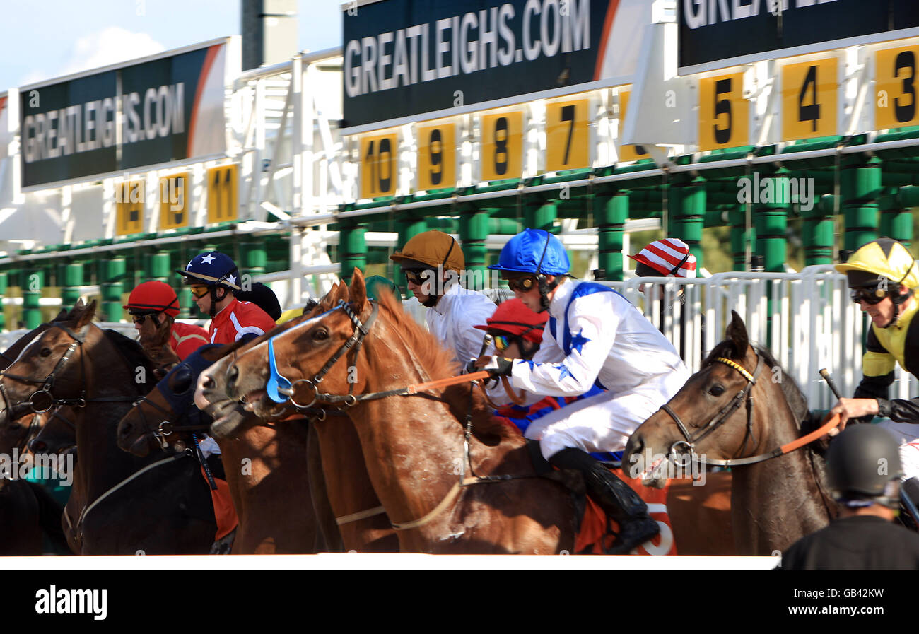 Horses get under way out of the starting boxes at great Leighs Racecourse Stock Photo