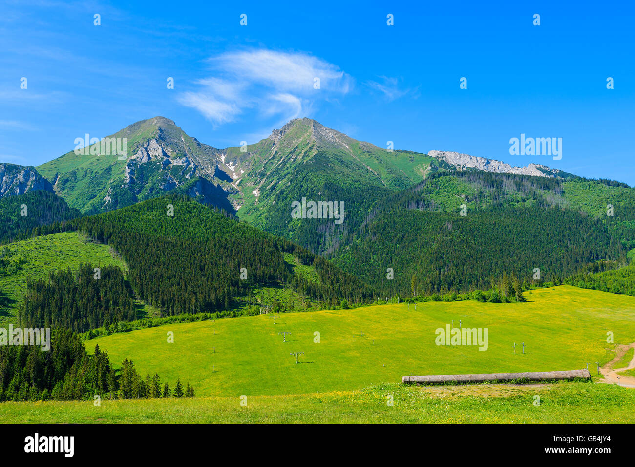 View of mountain peaks and green meadow in summer landscape of Tatra Mountains, Slovakia Stock Photo