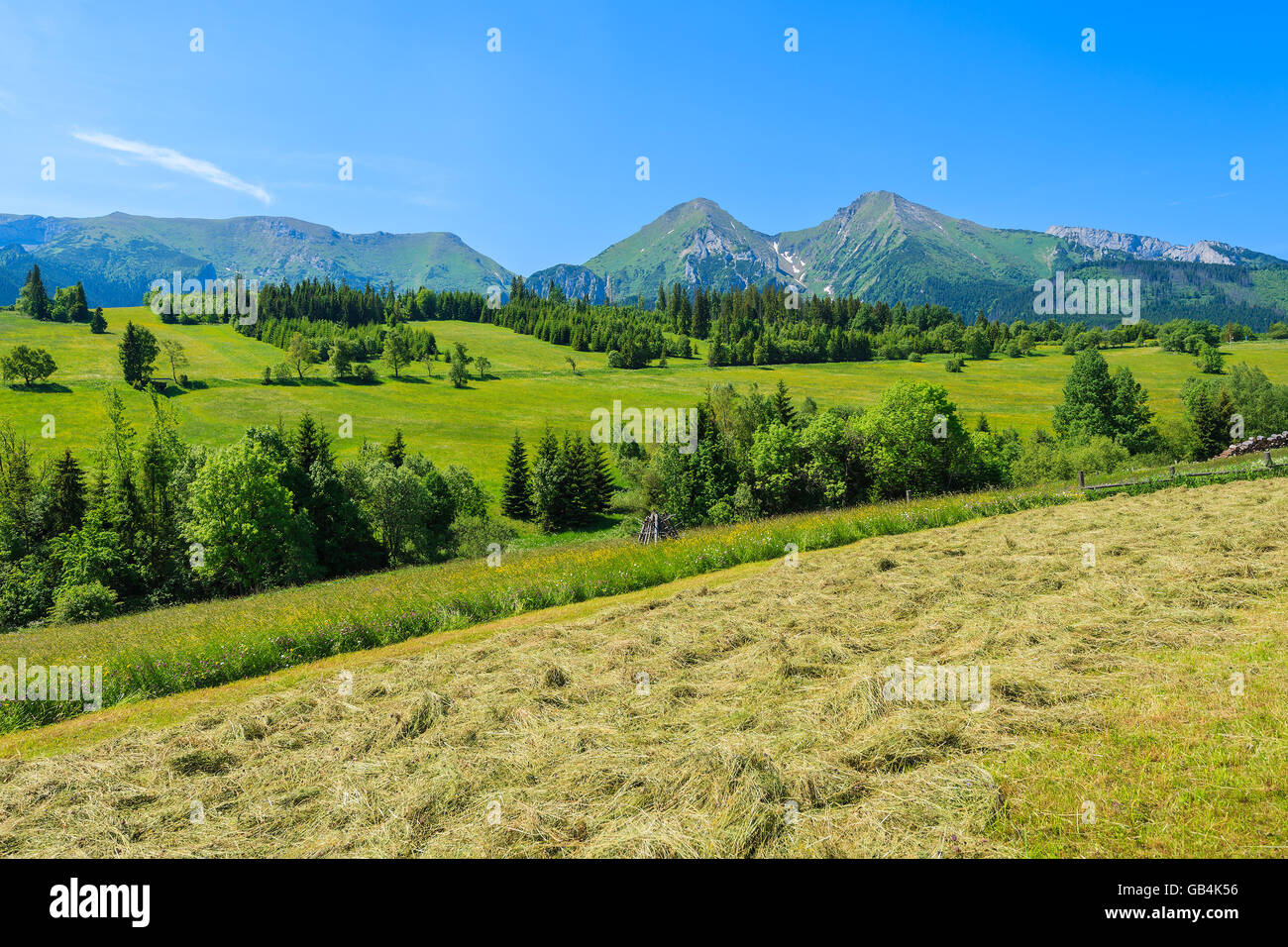 Farming field in green summer landscape of Tatra Mountains, Slovakia Stock Photo