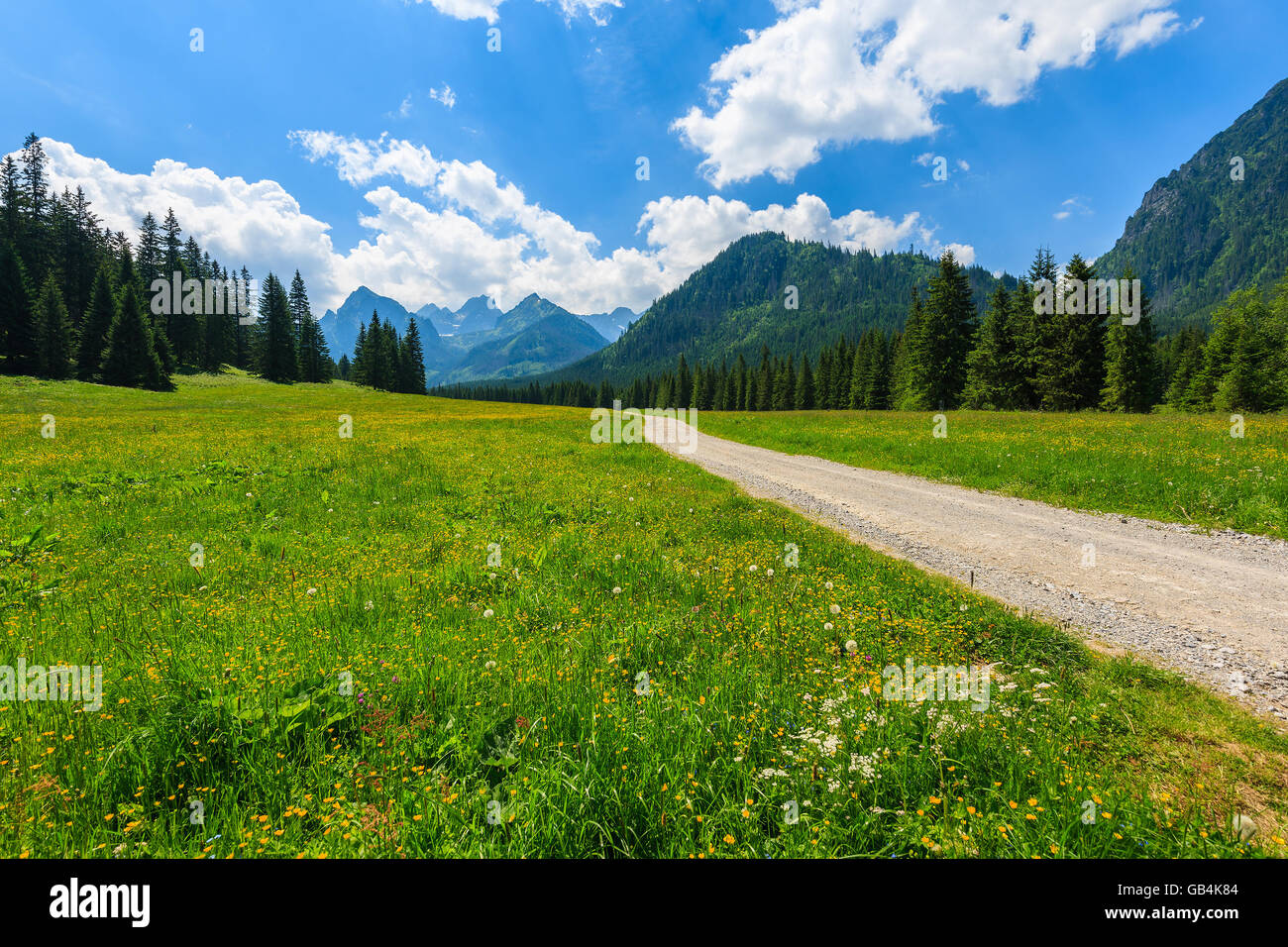 Hiking trail in green summer landscape of High Tatra Mountains, Slovakia Stock Photo