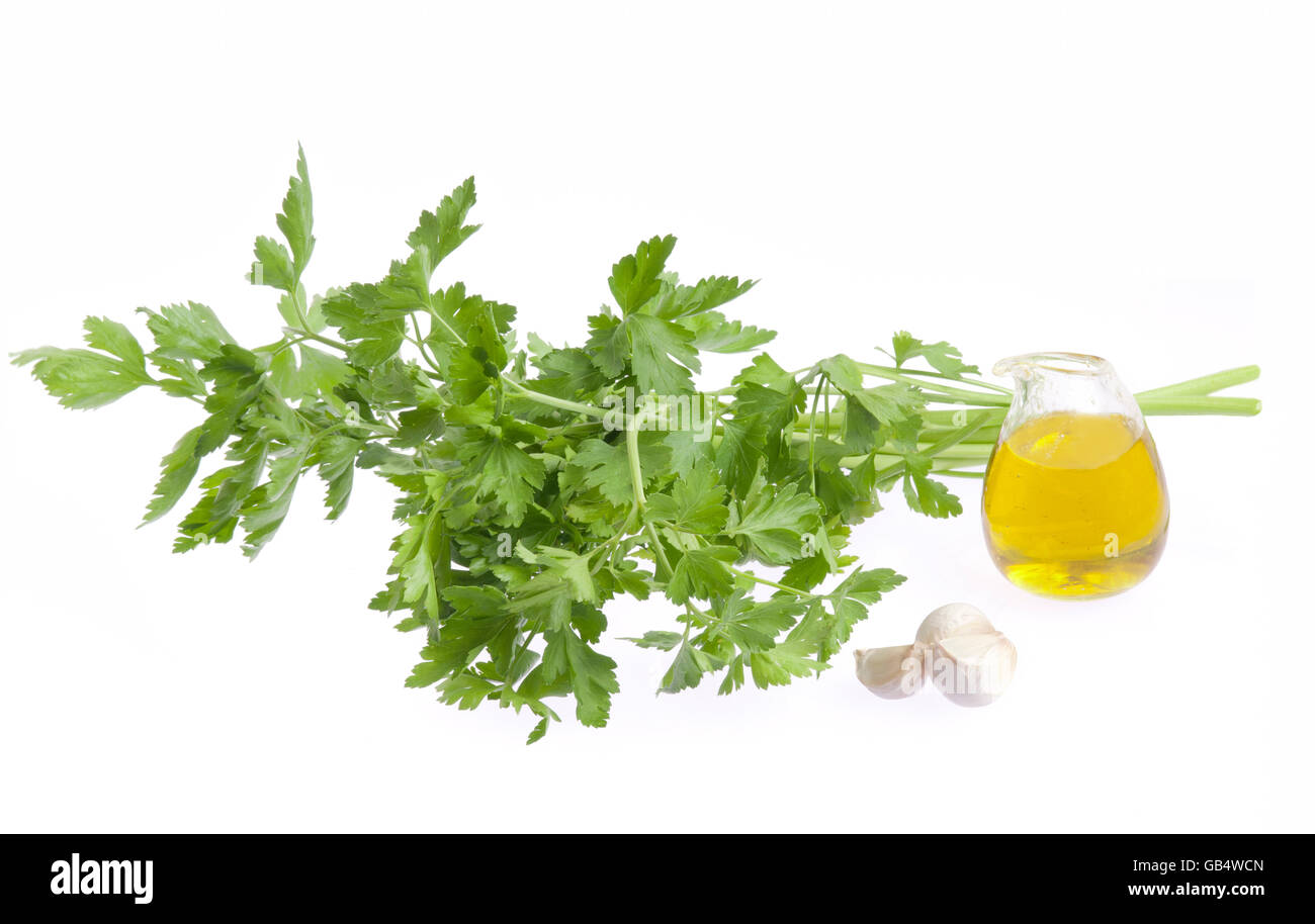 Parsley, olive oil, garlic Stock Photo