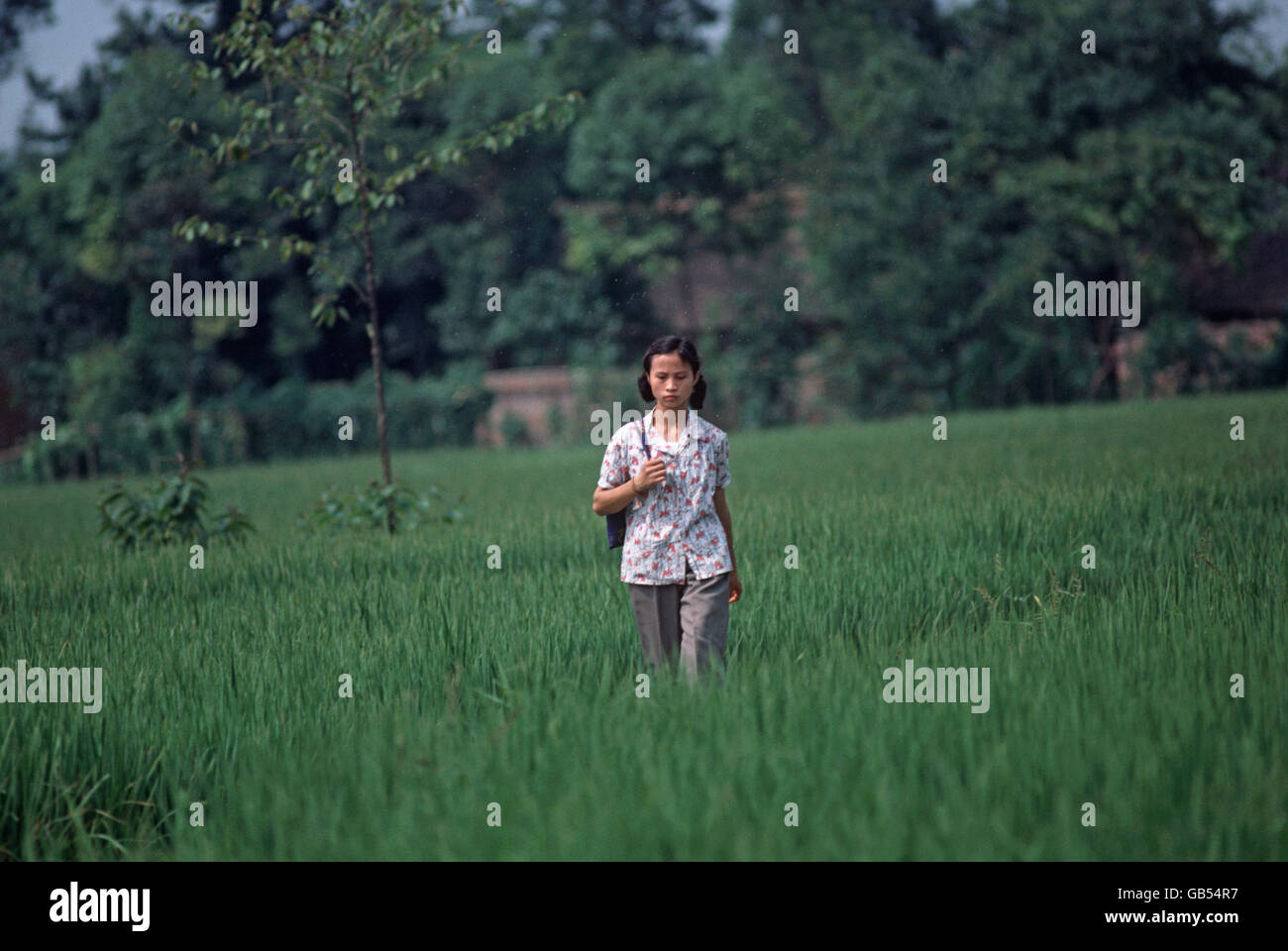 Chinese woman crossing vegetable growing fields in Sichuan countryside, China Stock Photo