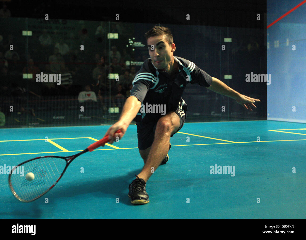 Squash - Hi-Tec World Squash Championships 2008 - National Squash Centre Stock Photo