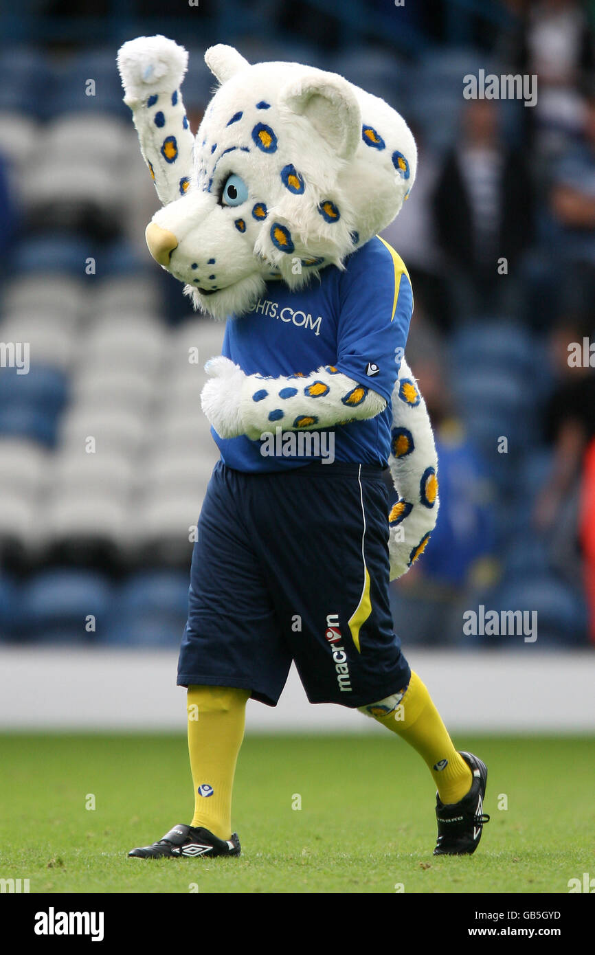 Leeds uniteds mascot lucas the kop cat hires stock photography and images Alamy