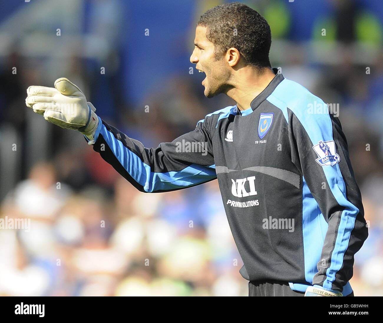 Soccer - Barclays Premier League - Portsmouth v Tottenham Hotspur - Fratton Park. Portsmouth's David James shouts instructions at his team-mates. Stock Photo