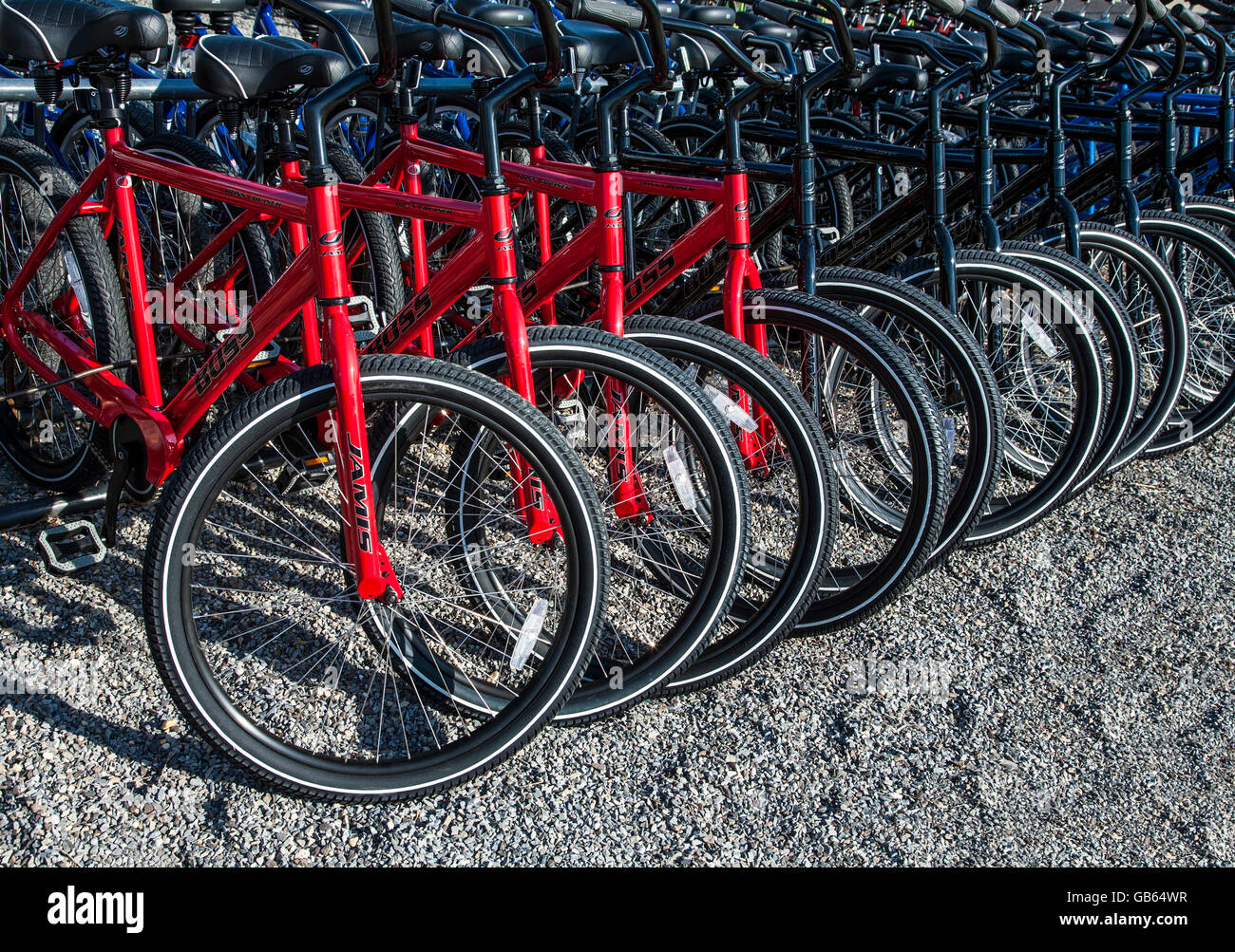 Row of red bicycle's for rent abstract, New Jersey, USA, Us, United States Stock Photo