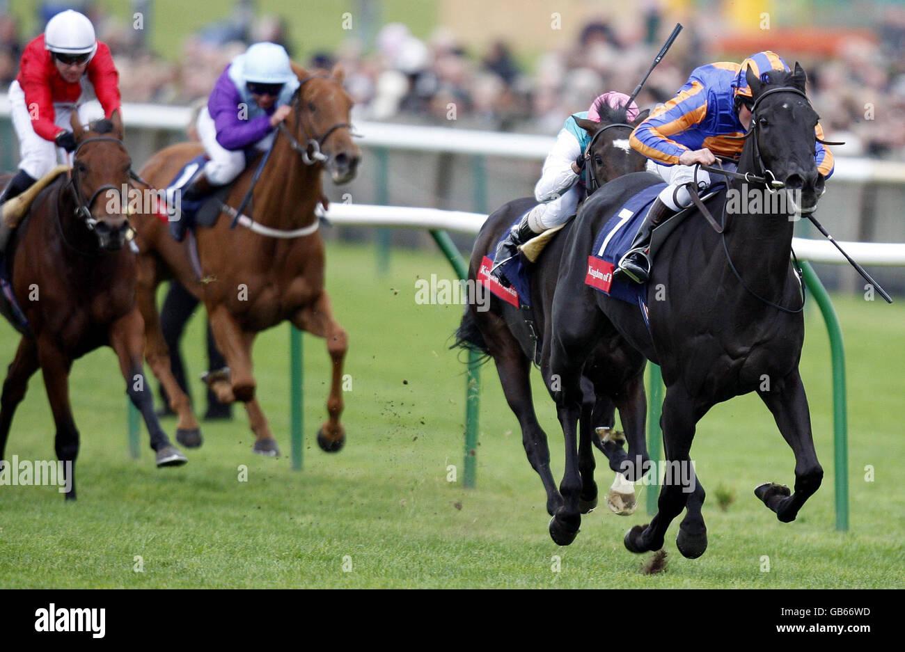 Kingdom of bahrain riders hi-res stock photography and images - Alamy