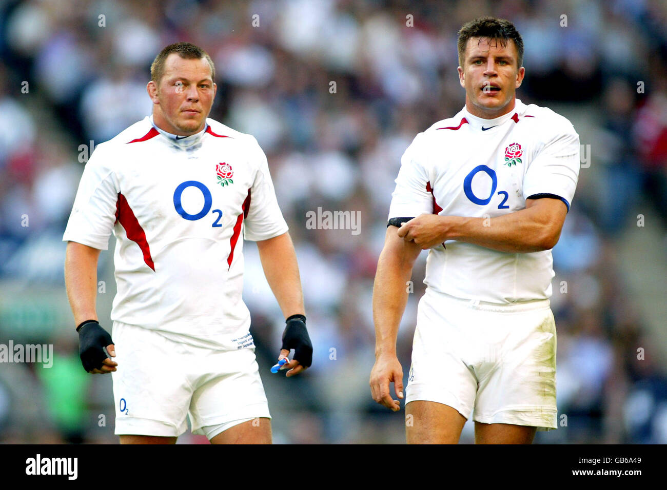 Steve thompson rugby union hi-res stock photography and images - Alamy