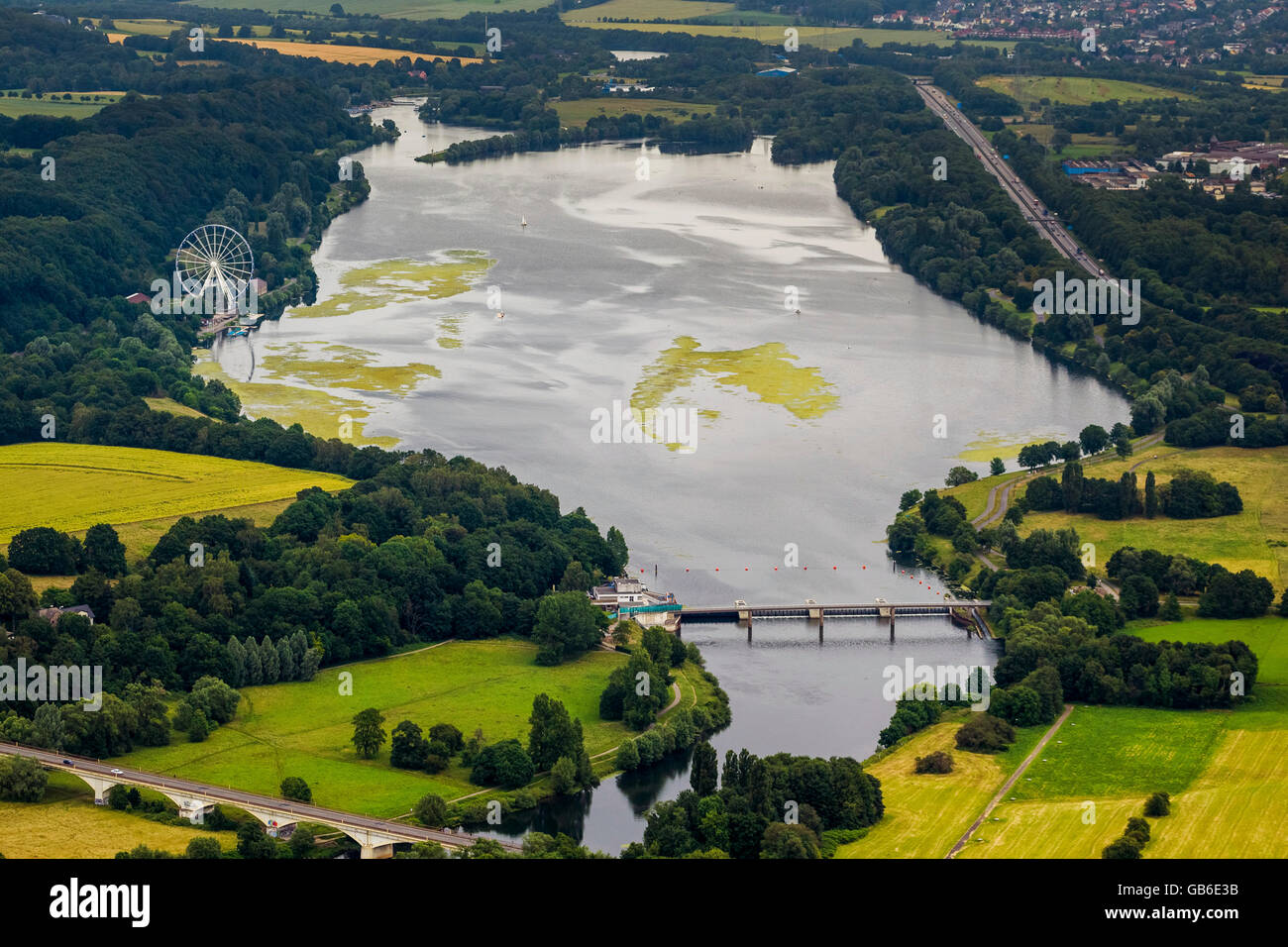 Aerial, aquatic plant Elodea, elodea nuttallii, waterweed, water power plant of the Ruhr Association, Kemnader Reservoir,Kemnade Stock Photo