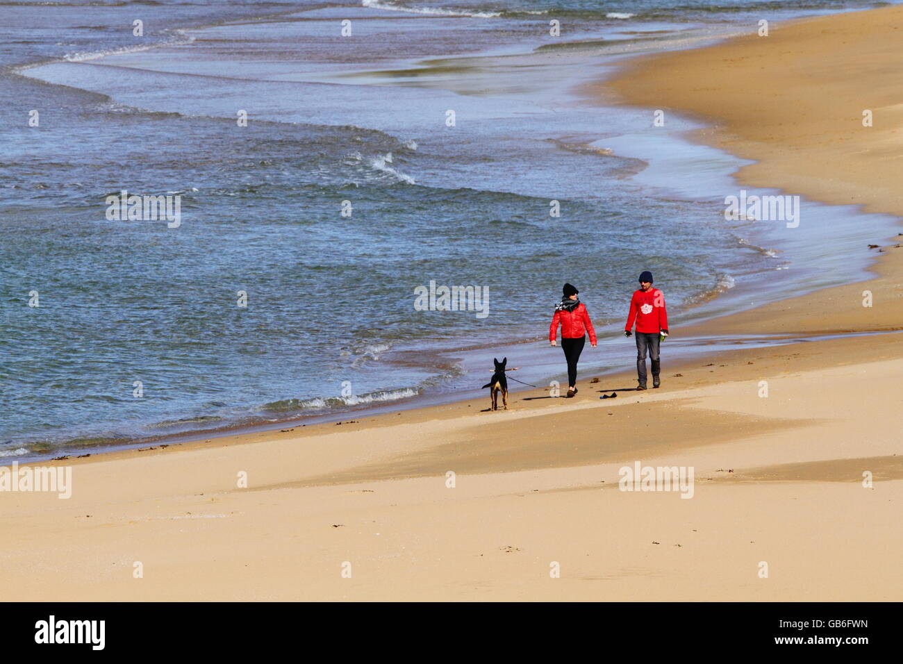 A couple, lady wearing red jacket, man a red sweater, walk their dog along Bombo Beach, Kiama, NSW in winter. Stock Photo