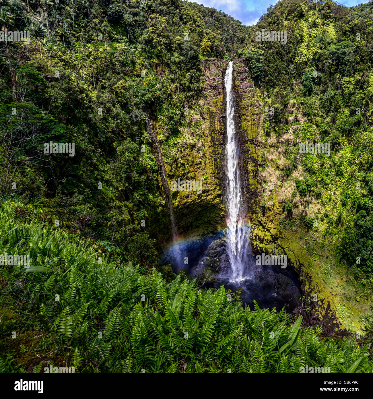 Akaka Falls on The Big Island HI with Rainbow Stock Photo