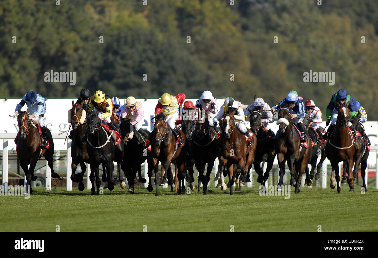 Night Crescendo and Jim Crowley (2nd left, black) squeezes through to win The ladbroke.com Stakes at Ascot Racecourse, Berkshire. Stock Photo