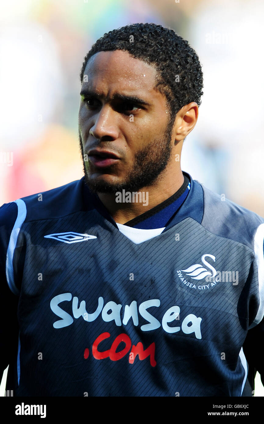 Soccer - Coca-Cola Football League Championship - Reading v Swansea City - Madejski Stadium. Ashley Williams, Swansea City Stock Photo