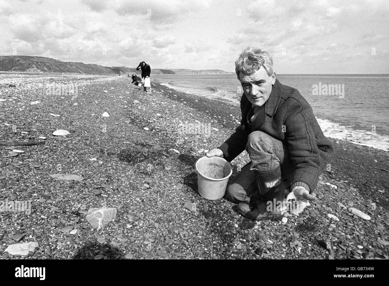 Against a back drop of industrial unrest and with coal supplies dwindling, these miners from Peterlee have returned to picking sea coal. Stock Photo