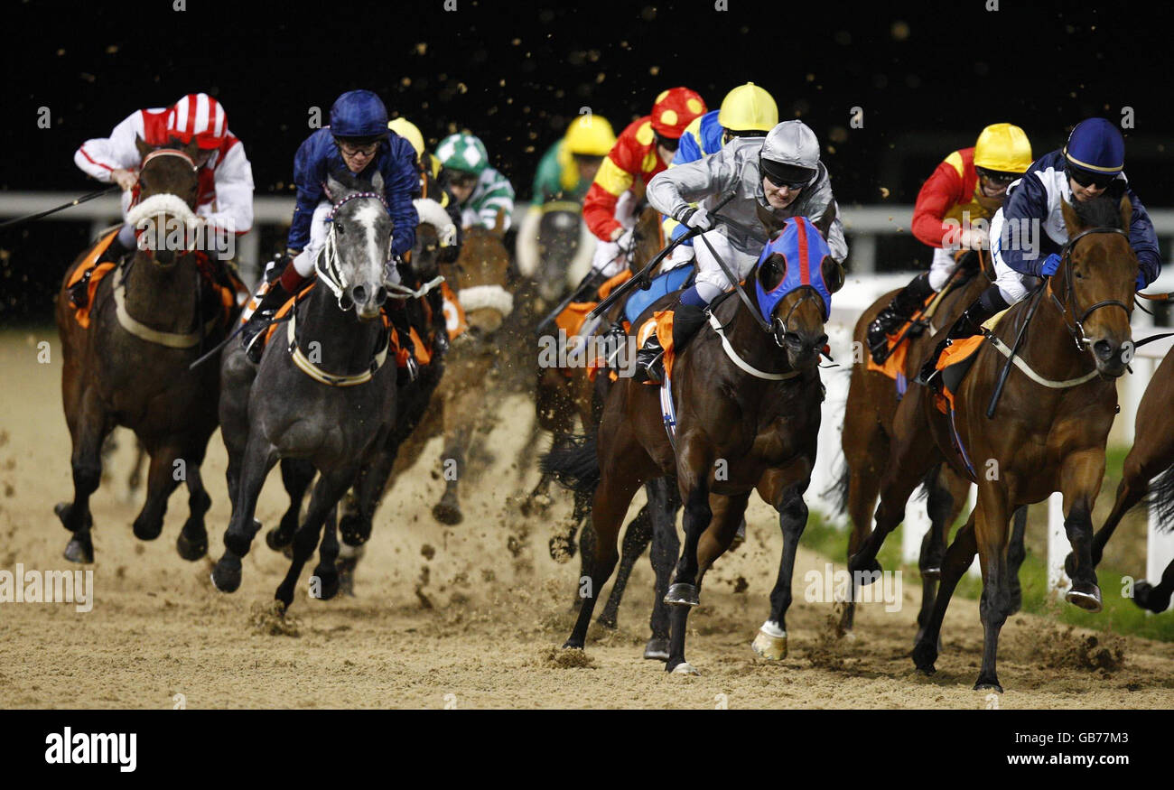 Horse Racing - Great Leighs Racecourse Stock Photo