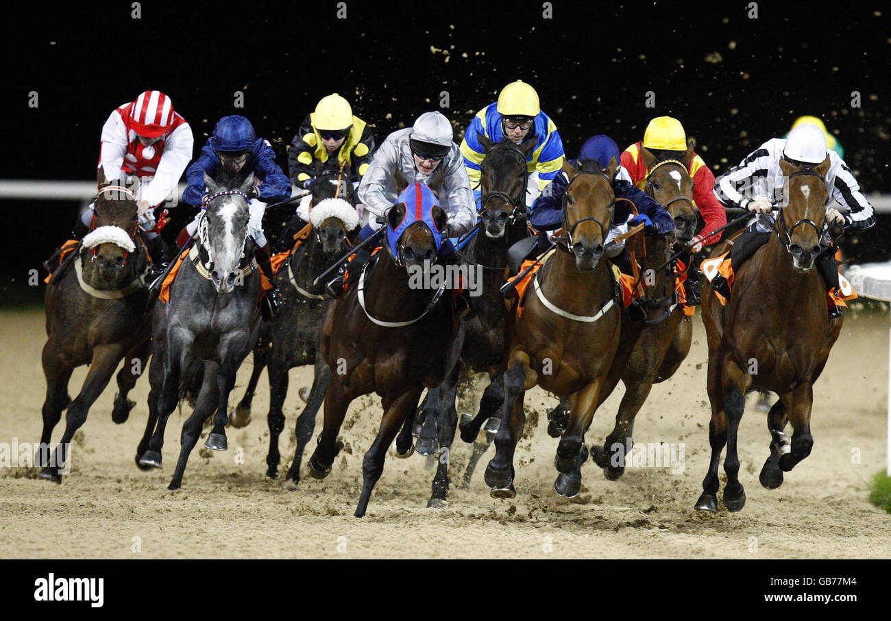 The field round the final bend during the Epping Forest Claiming Stakes at Great Leighs Racecourse, Chelmsford. Stock Photo