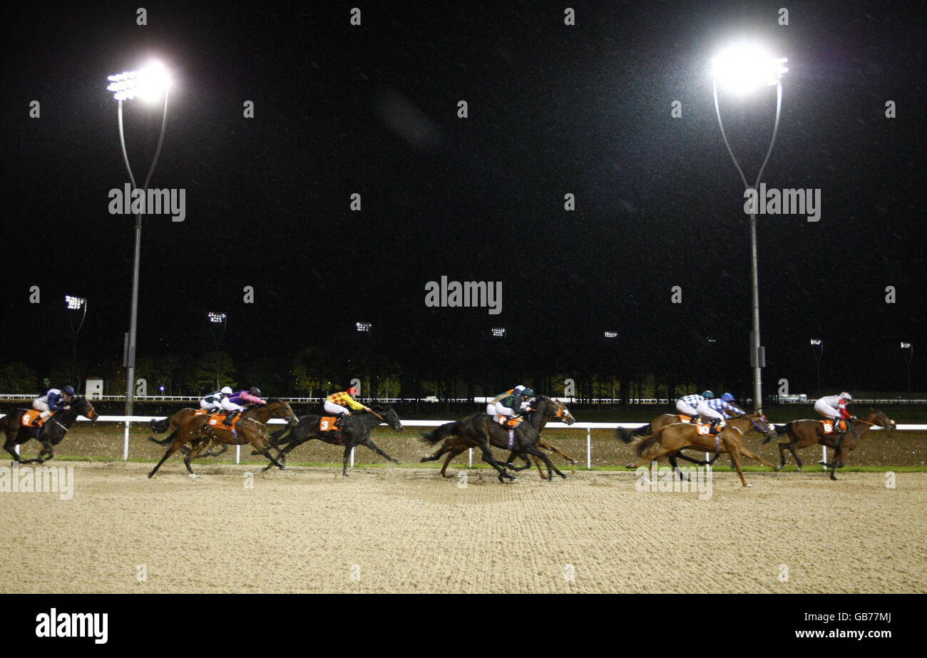 The field come down the final straight during the Moulsham Hall Maiden Stakes at Great Leighs Racecourse, Chelmsford. Stock Photo