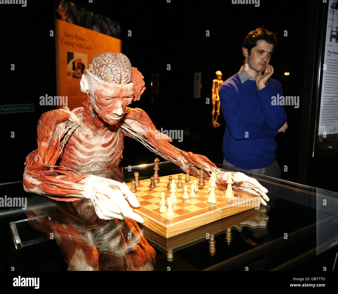 Guests at the preview of Dr Gunther von Hagens' latest exhibition, Body Worlds And The Mirror of Time, at The O2 Arena, Greenwich, London. Stock Photo