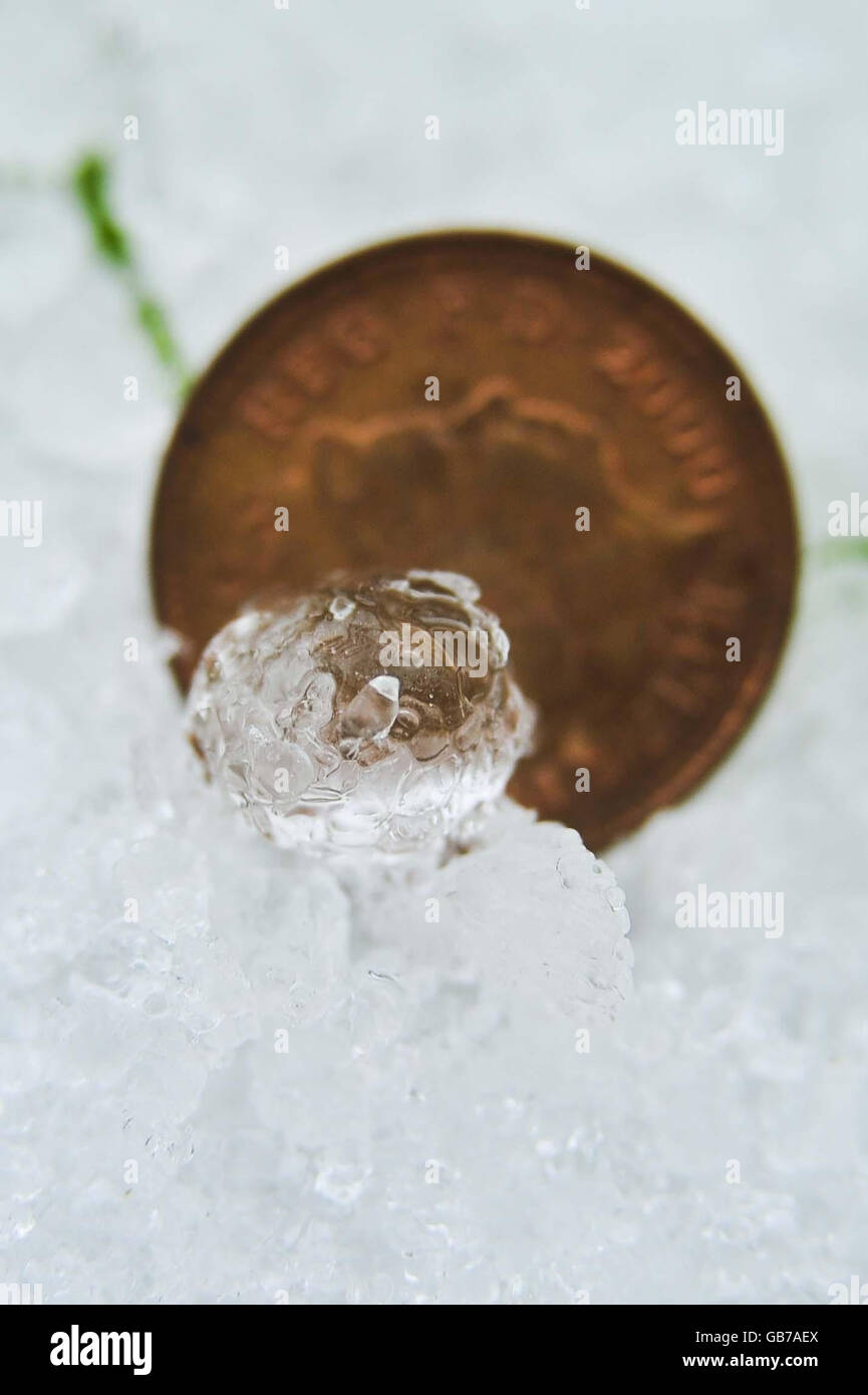 A photograph showing the size od some of the hailstones next to a one penny piece that have fallen around, Ottery St Mary, Devon.. Stock Photo