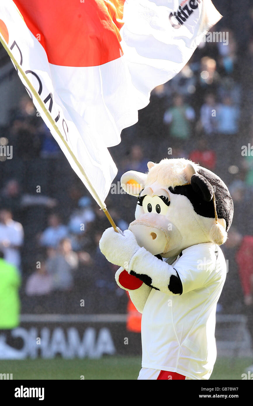 Soccer - Coca-Cola Football League One - Milton Keynes Dons v Carlisle United - Stadium:mk. Milton Keynes Dons' mascot Mooie the cow Stock Photo