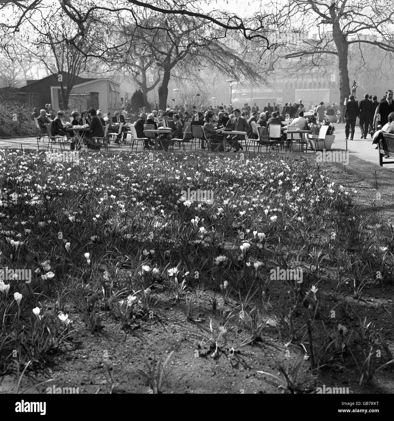 Weather - Spring Scenes - Victoria Embankment Gardens - 1965 Stock Photo