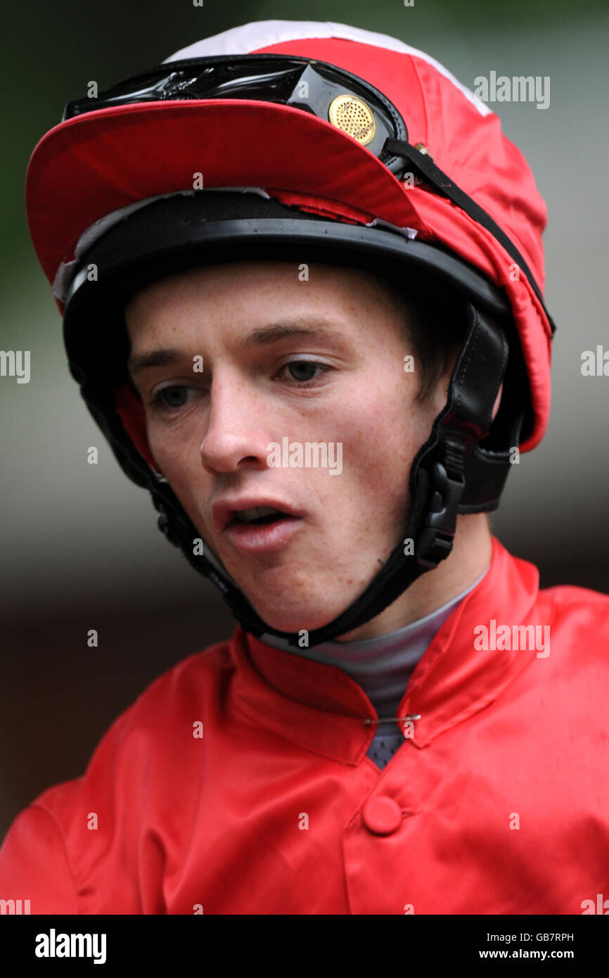 Horse Racing - Princes Trust Raceday - Haydock Park Stock Photo